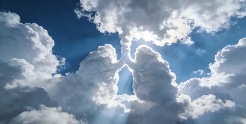 驻马店肺癌靶向120基因检测（组织）图片1