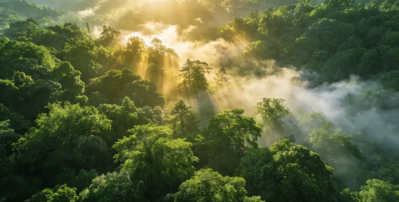 驻马店肺癌12基因ctDNA突变检测(血液）图片1